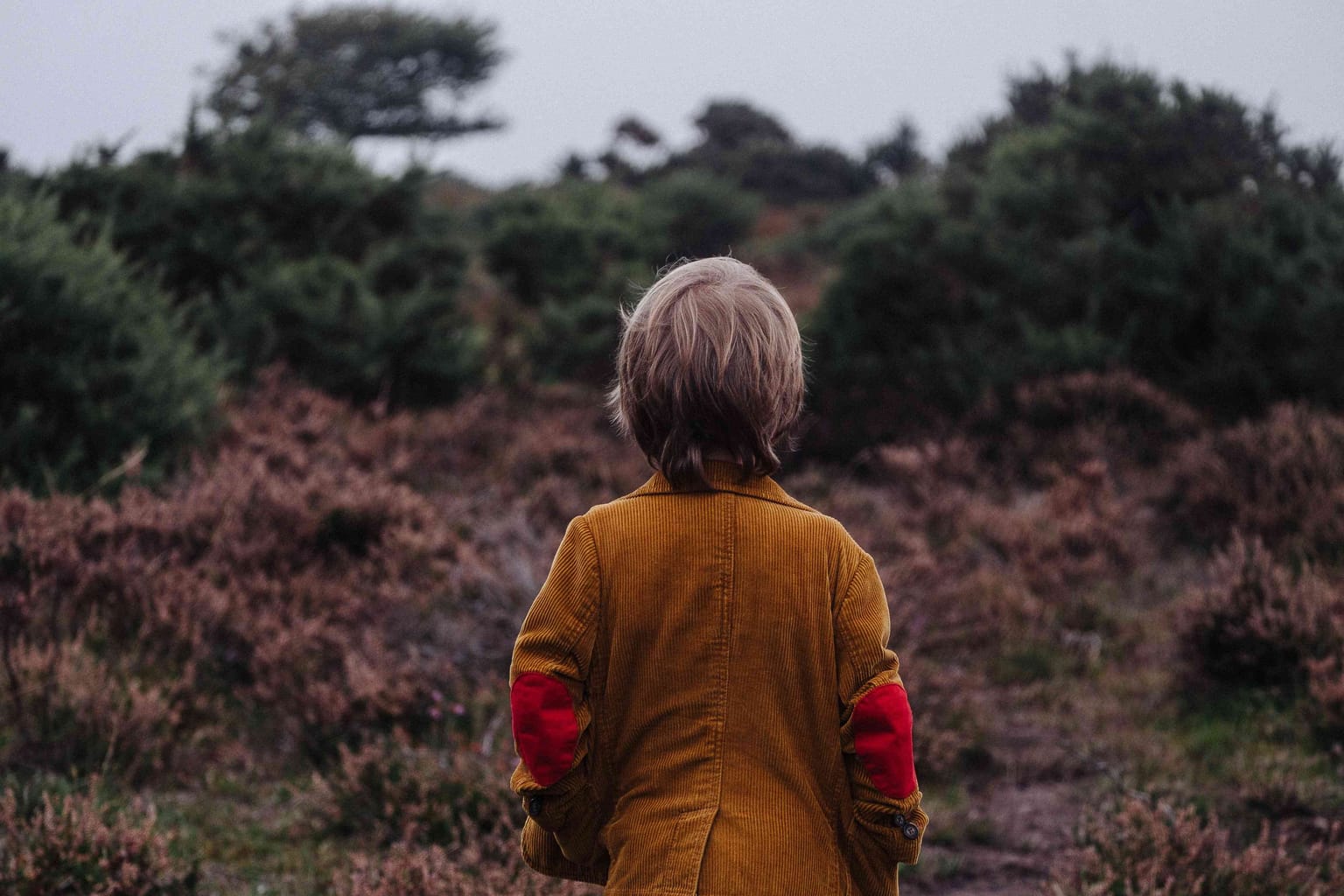 Child custody when child is on the autism spectrum