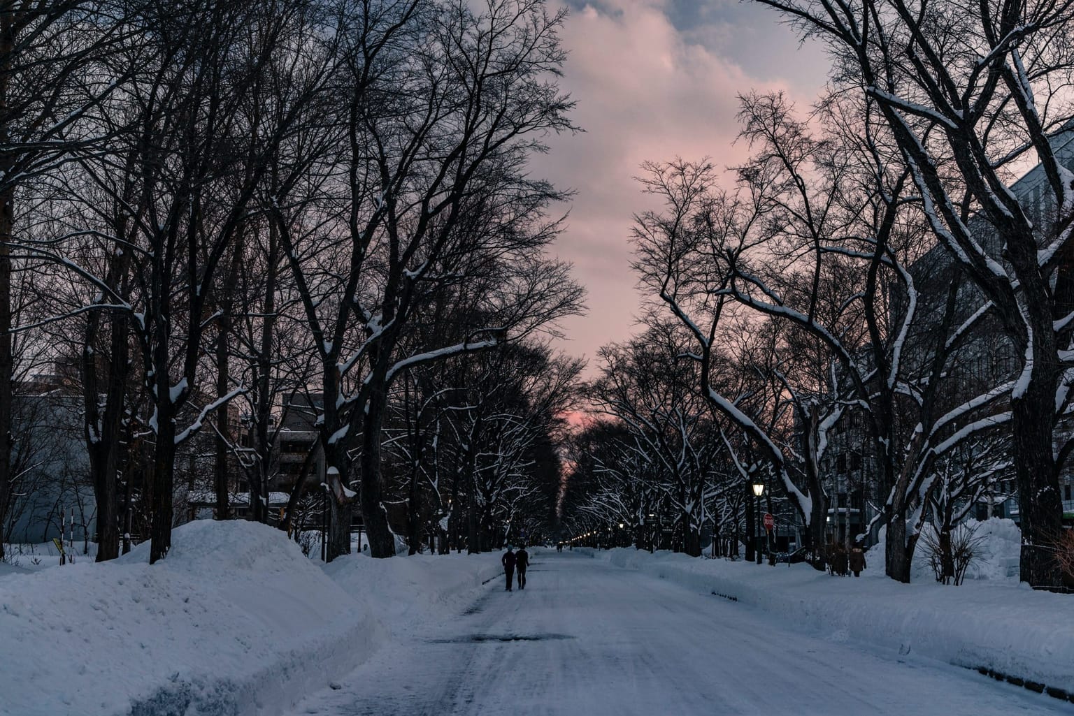 zhao chen ytYc8VkMVL0 unsplash