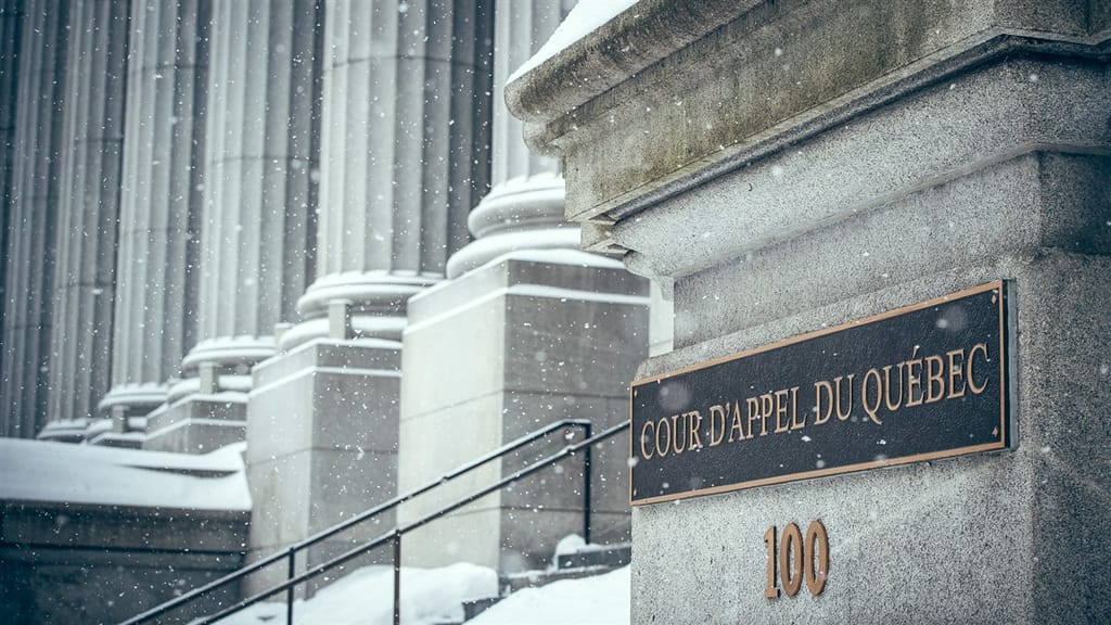 Constitutional & Appellate Litigation